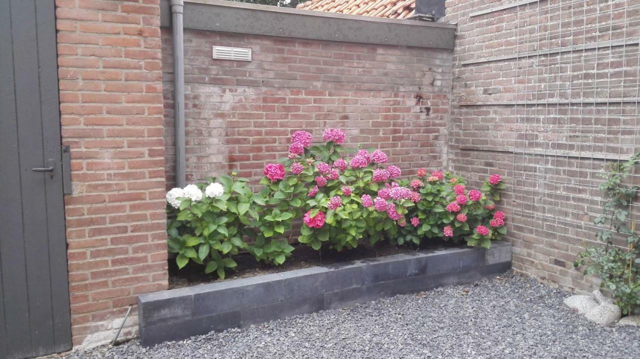 De Notenbalk Aan Zee Bed and Breakfast Vlissingen Exterior foto